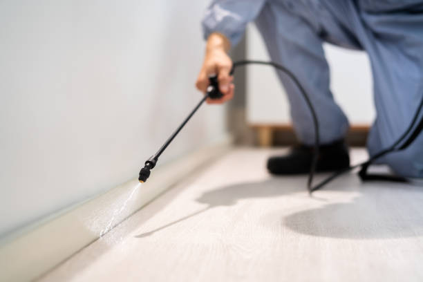 Certified termite inspector examining foundation in Alafaya